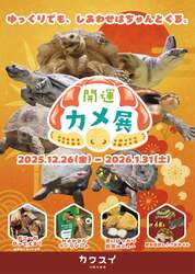 「川崎の水族館で縁起の良いカメと干支のポニーに会える！親子で楽しむ新年イベント開催」の写真