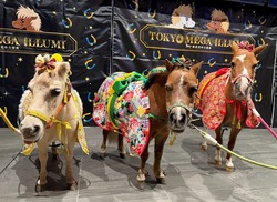 「【関東】年末年始もおすすめ！2026年1月の親子向けおでかけ先＆イベントまとめ」の写真