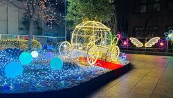 アグネス・イルミネーション2025（過去の様子）