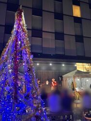 Christmas Night Garden