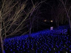 しばたファンタジーイルミネーション2025