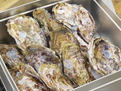 「【関東】年末年始もおすすめ！2026年1月の親子向けおでかけ先＆イベントまとめ」の写真