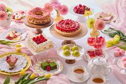 後半ラインナップ