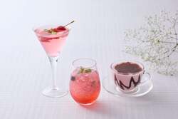 前半ラインナップ　左からストロベリーローズ、ベリーベリーベリー、ショコラストロベリー