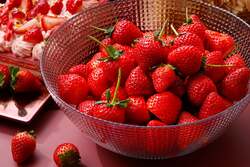 旬のフレッシュいちごが食べ放題で楽しめる