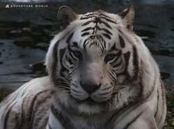 「【関西】年末年始もおすすめ♪2026年1月の親子向けおでかけ先＆イベントまとめ」の写真