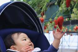 「【関西】年末年始もおすすめ♪2026年1月の親子向けおでかけ先＆イベントまとめ」の写真