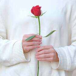 「いばらきフラワーパークでお正月イベント開催！　バラ1輪もらえる＆お餅のふるまいも」の写真