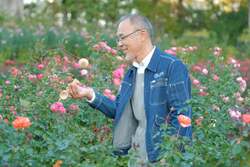 「いばらきフラワーパークでお正月イベント開催！　バラ1輪もらえる＆お餅のふるまいも」の写真