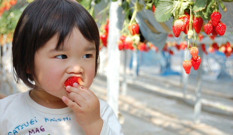 画像： Yoshiji / PIXTA