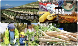 三嶋大根祭り／箱根西麓にある大根がくやと富士を望む風景