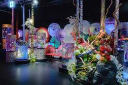 「お台場で冬の銀河体験！　白と青の光に包まれる水族館イルミネーション」の写真