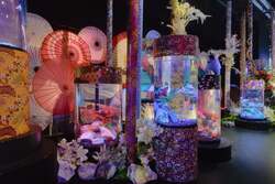 「お台場で冬の銀河体験！　白と青の光に包まれる水族館イルミネーション」の写真