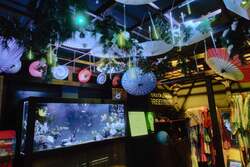 「お台場で冬の銀河体験！　白と青の光に包まれる水族館イルミネーション」の写真