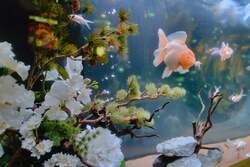 「お台場で冬の銀河体験！　白と青の光に包まれる水族館イルミネーション」の写真