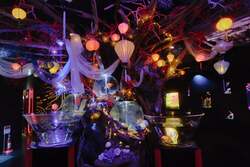 「お台場で冬の銀河体験！　白と青の光に包まれる水族館イルミネーション」の写真