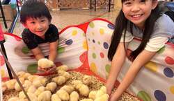 「兵庫・神戸市で親子向け無料イベント！　遊園地とミニ動物園で新年を満喫しよう」の写真