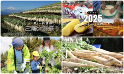 三嶋大根祭り／箱根西麓にある大根がくやと富士を望む風景