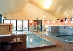 「【2025-26】新潟の年末年始も営業！一日中親子で楽しめるスーパー銭湯＆日帰り温泉4選」の写真