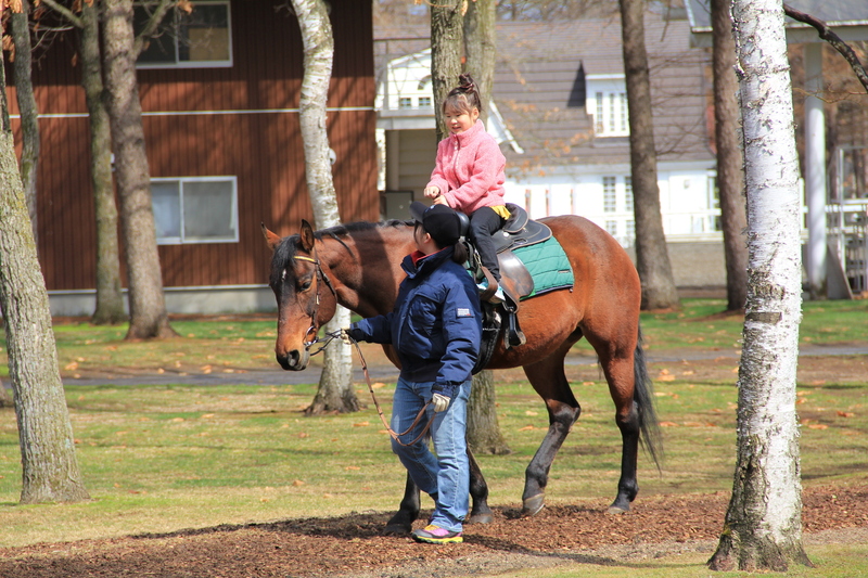  画像：313san / PIXTA