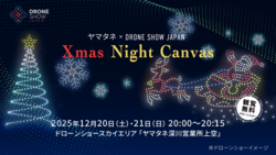 Xmas Night Canvas