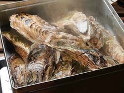 「親子で楽しめる牡蠣小屋「かき太鼓」が水戸に新オープン！　冬季限定で駅直結の好立地」の写真