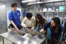 「池袋で深海生物イベント！10回目記念で過去の目玉が大集合　触れて食べて楽しめる！」の写真