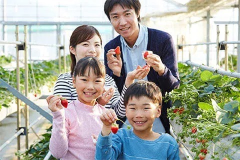 【2026】千葉県の「予約なし」で楽しめるいちご狩り13選　おすすめ厳選！の12枚目の写真