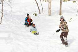 「札幌・滝野すずらん丘陵公園で冬期営業スタート　チューブそりなどの雪遊びが楽しめる」の写真
