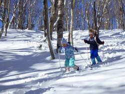 「札幌・滝野すずらん丘陵公園で冬期営業スタート　チューブそりなどの雪遊びが楽しめる」の写真