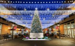 「【横浜市】2025年12月20日・21日の今週末に楽しめるクリスマスイベント12選　無料も！」の写真