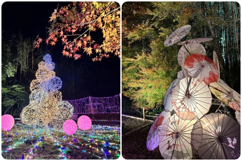 京都丹波KAMEOKA夢ナリエ