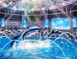 Winter Flute Melody ※イメージ