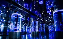 「都心で雪と氷の幻想世界！水族館・マクセル アクアパーク品川に冬限定の神秘空間登場」の写真