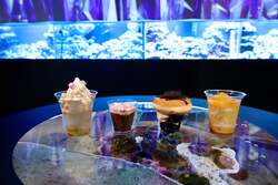 「都心で雪と氷の幻想世界！水族館・マクセル アクアパーク品川に冬限定の神秘空間登場」の写真