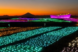 山頂からの絶景とイルミのコラボ