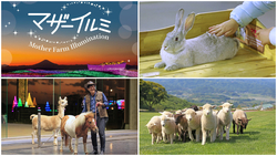 「【関東】親子で楽しめる体験＆参加型イルミネーション9選！光と遊ぶ冬の絶景スポット」の写真