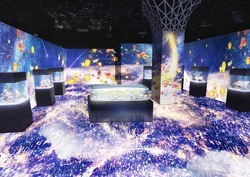 展示エリア「パターンズ」：Sky Over City