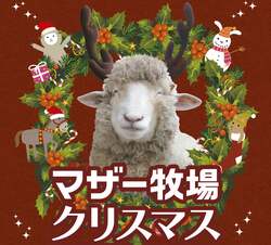「千葉県富津市のマザー牧場でクリスマス！　親子で楽しむトナカイひつじ記念撮影会開催」の写真