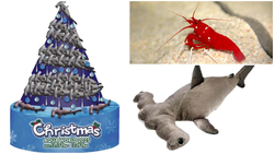 （左）「シュモクザメツリー」、（右上）サンタクロースカラーが特徴の「シロボシアカモエビ」、（右下）アカシュモクザメぬいぐるみ