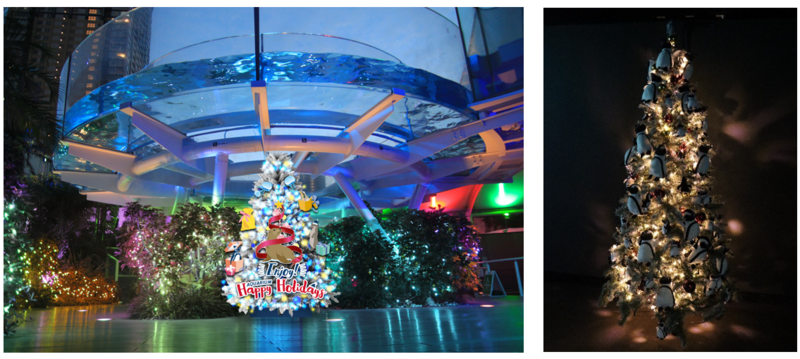 「サンシャインアクアリング」水槽下のクリスマスツリー