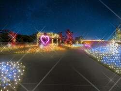 「泉南市で約7万5,000球の光が輝くライトアップイベント　無料で楽しめる海辺のイルミ」の写真