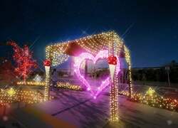 「泉南市で約7万5,000球の光が輝くライトアップイベント　無料で楽しめる海辺のイルミ」の写真