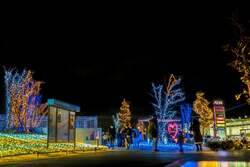 「泉南市で約7万5,000球の光が輝くライトアップイベント　無料で楽しめる海辺のイルミ」の写真