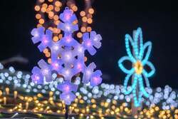 「泉南市で約7万5,000球の光が輝くライトアップイベント　無料で楽しめる海辺のイルミ」の写真