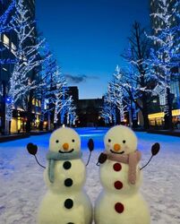 Happy Tree Street 2025