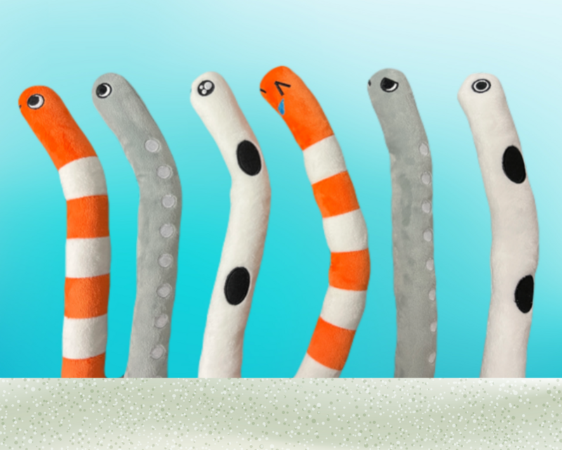 チンアナゴ・ニシキアナゴ・ホワイトスポッテッドガーデンイールのぬいぐるみ