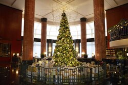 「2025東京の大きなクリスマスツリー14選　イルミも満喫！雪遊び・スケート場併設も」の写真