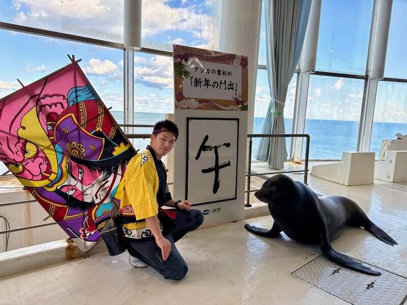 アシカの書初めパフォーマンス