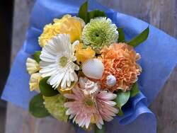 「茨城・大洗の水族館で新春イベント！アシカの書初めや午年の干支水槽など盛りだくさん」の写真